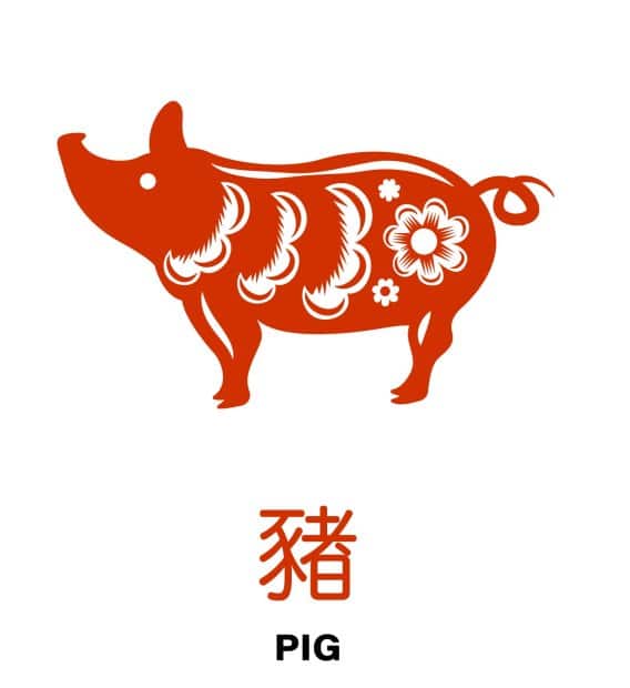 Chinese zodiac sign Pig